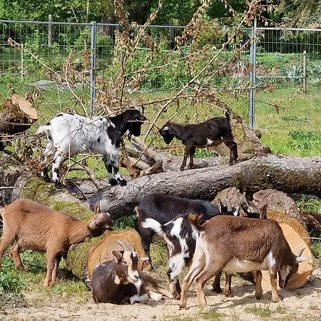 Doppelhaushälfte Nordwind Vom Naturhof Usedom