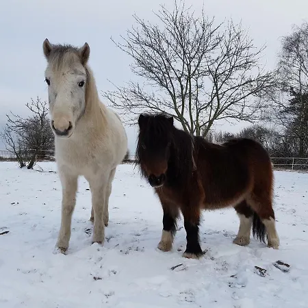 Apartment Doppelhaushaelfte Nordwind Vom Naturhof Usedom Bannemin