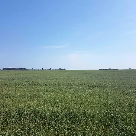 Doppelhaushaelfte Nordwind Vom Naturhof Usedom * Bannemin