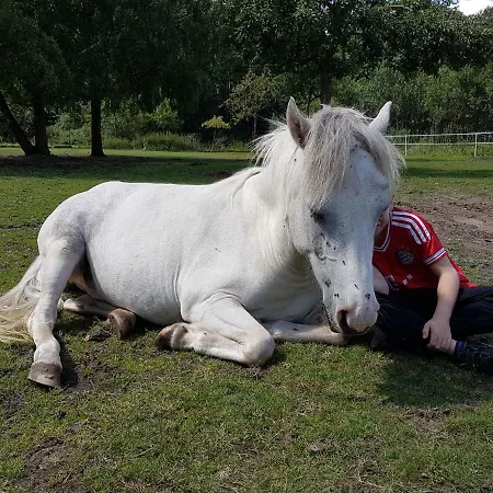 Doppelhaushälfte Nordwind Vom Naturhof Usedom * Bannemin