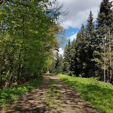 Apartment Doppelhaushaelfte Nordwind Vom Naturhof Usedom Bannemin