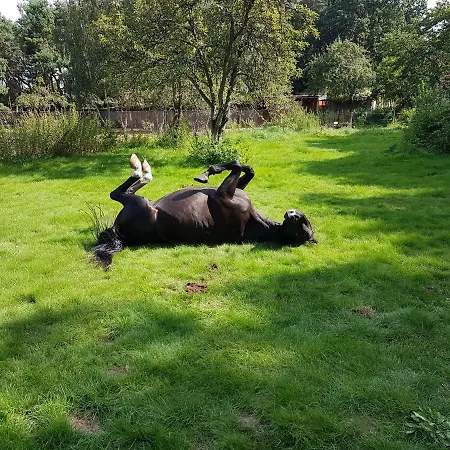 Doppelhaushälfte Nordwind Vom Naturhof Usedom * Bannemin