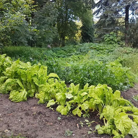 Apartment Doppelhaushaelfte Nordwind Vom Naturhof Usedom