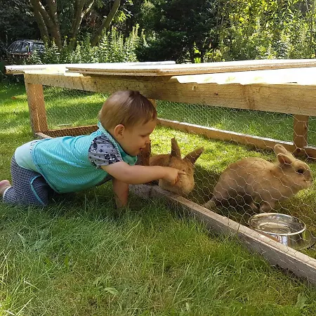 Apartment Doppelhaushaelfte Nordwind Vom Naturhof Usedom *
