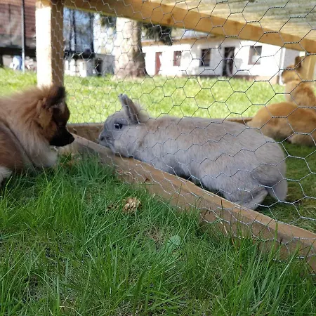 Doppelhaushälfte Nordwind Vom Naturhof Usedom