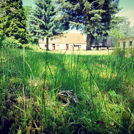 Apartment Doppelhaushaelfte Nordwind Vom Naturhof Usedom Bannemin