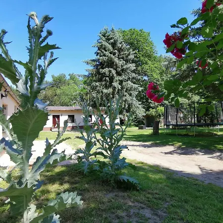 Apartment Doppelhaushaelfte Nordwind Vom Naturhof Usedom Bannemin